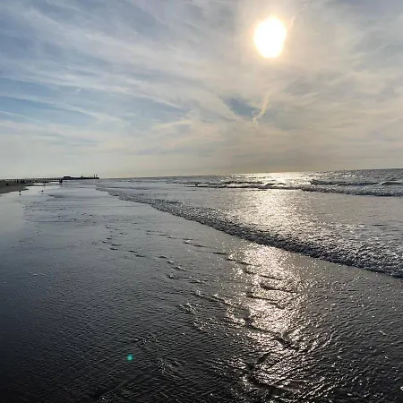 Daire Penthouse Seaview Blankenberge