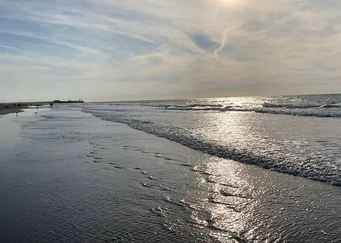 公寓 Penthouse Seaview 布兰肯贝赫